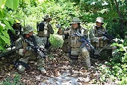 250px 24 kopaska 3 1